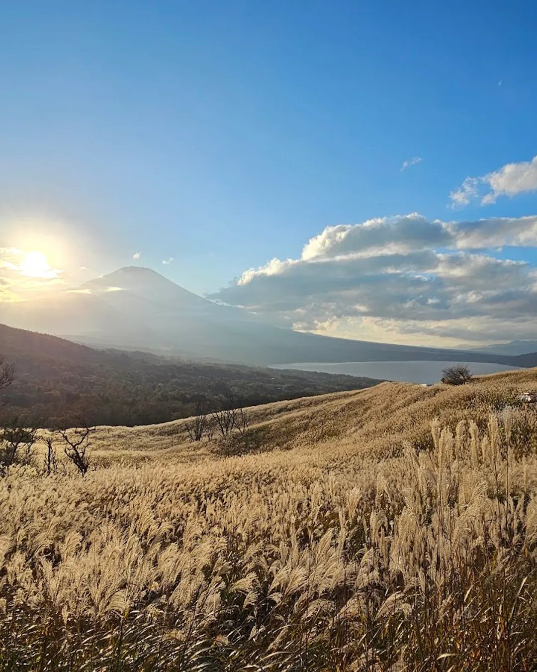 🏞️ 모코토산 전망 주차 공원(모코토야마 텐보츄샤코엔) 이미지 8